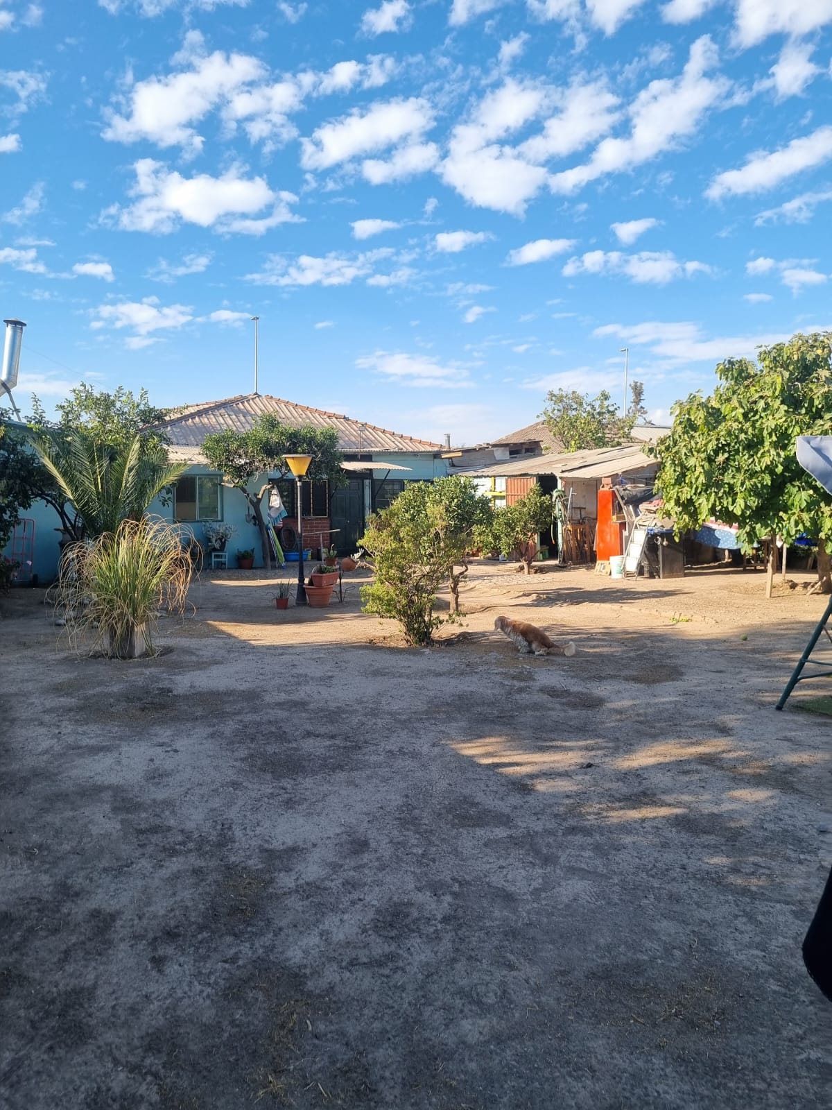 vistas patio 6